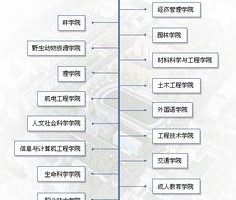 东北林业大学文凭(东北林业大学文凭认可度高吗)