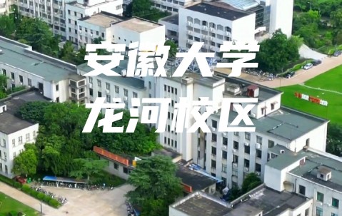 安徽大学有哪些