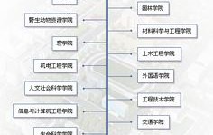 东北林业大学毕业证(东北林业大学继续教育学院毕业证)
