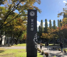 东北大学(东北大学官网)