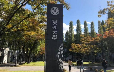 东北大学(东北大学官网)
