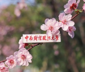 中南财经政法大学毕业证(中南财经政法大学毕业证图片)