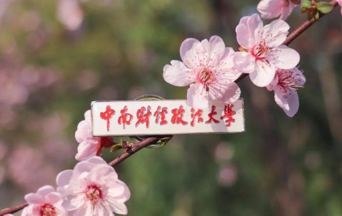 中南财经政法大学毕业证(中南财经政法大学毕业证图片)