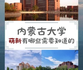 内蒙古大学是211还是985