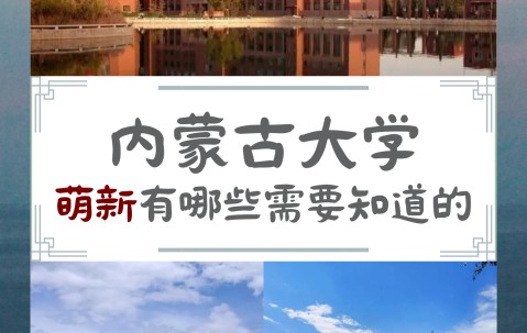 内蒙古大学是211还是985