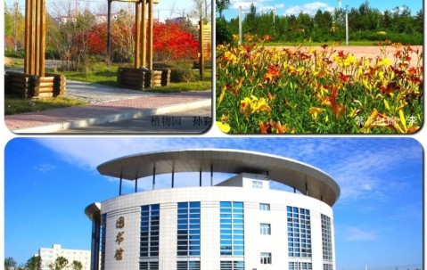 北京林业大学怎样呀