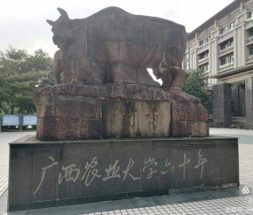 广西大学排名
