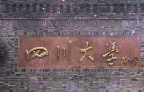 四川大学化学学院