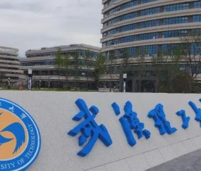 武汉理工大学录取分数线2024