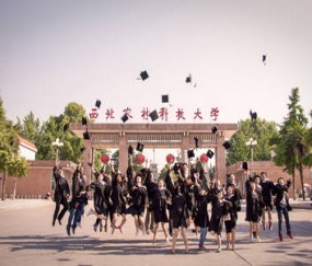 西北农林科技大学怎么评上985的