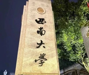西南大学(西南大学历史文化学院)