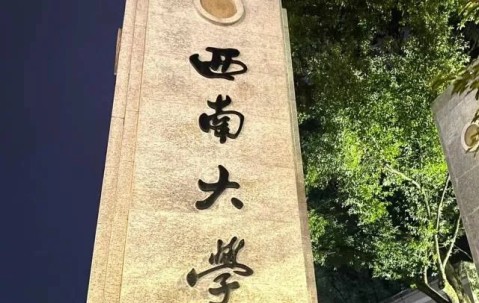 西南大学(西南大学历史文化学院)