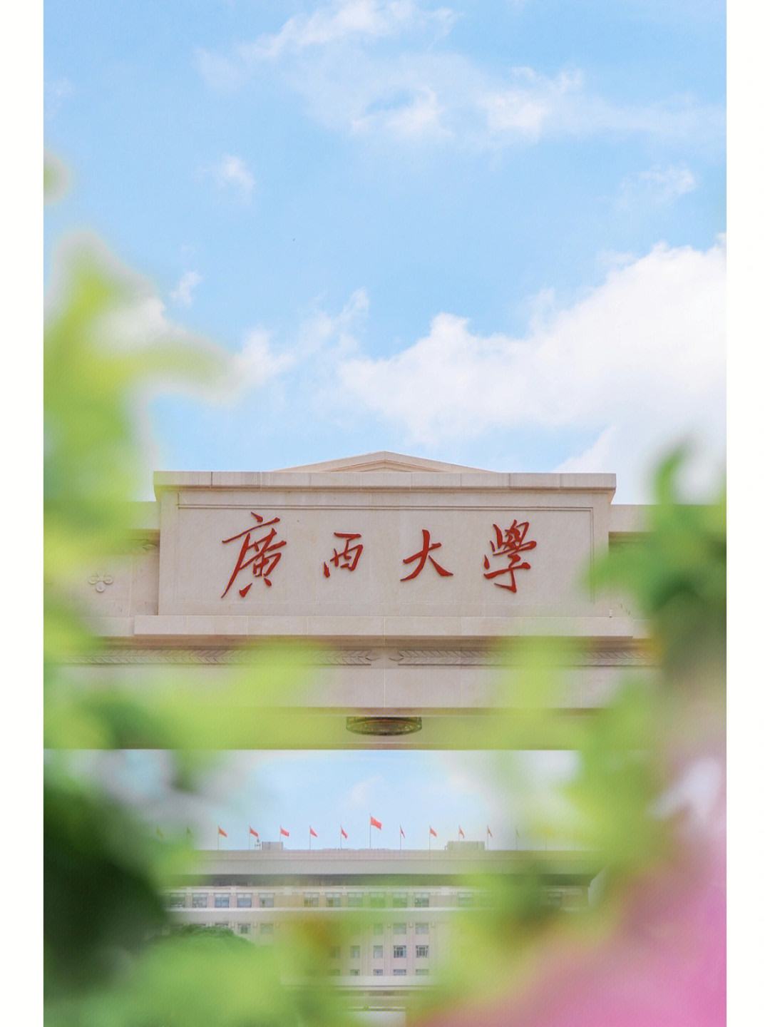 广西大学(广西大学农学院)