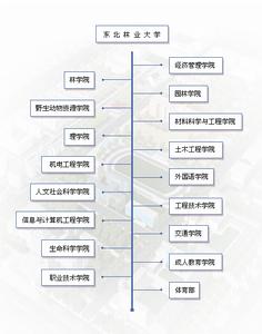 东北林业大学毕业证(东北林业大学继续教育学院毕业证)