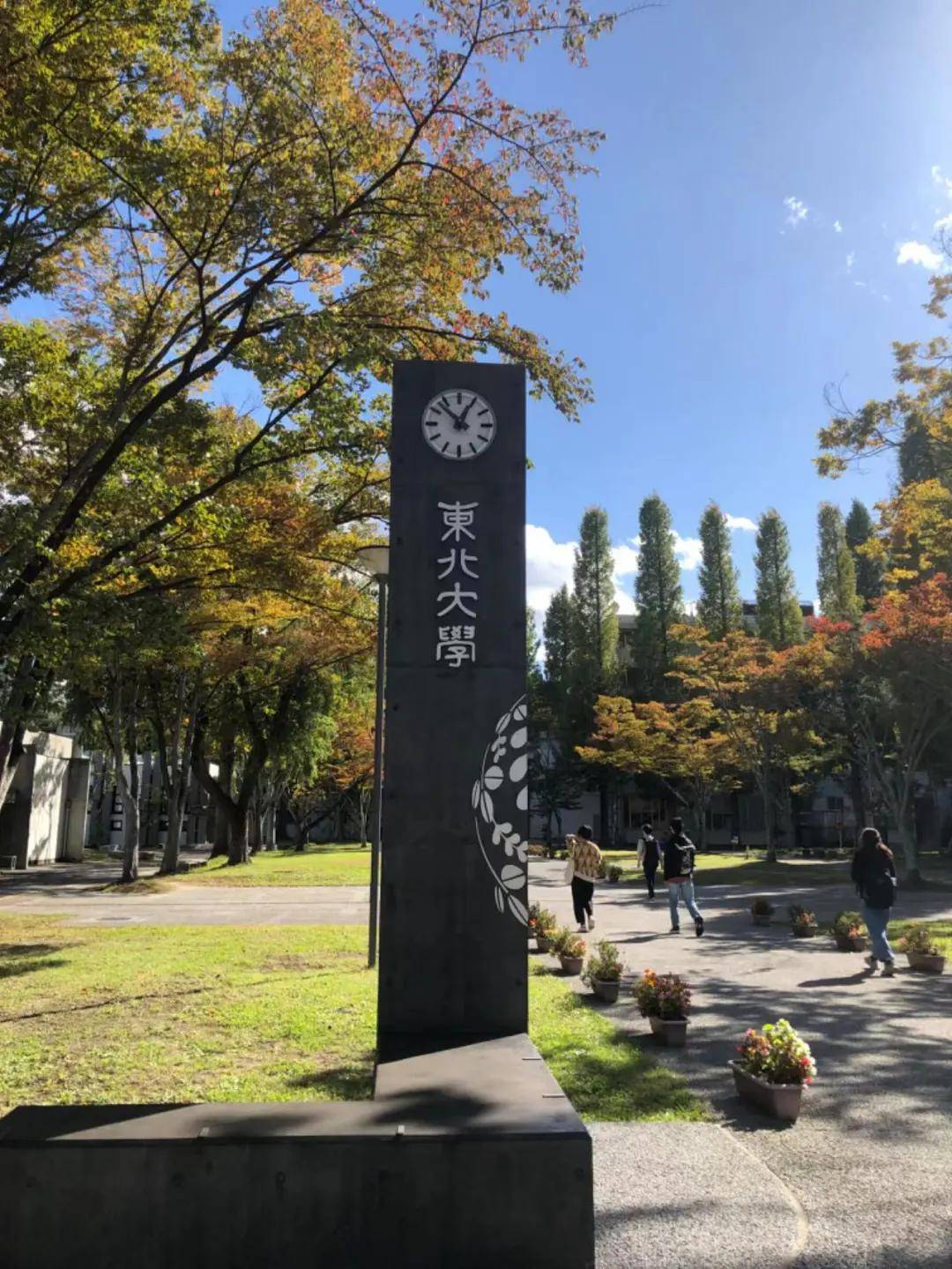 东北大学(东北大学官网)