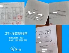 辽宁大学毕业证(辽宁大学毕业证丢失怎么补办)