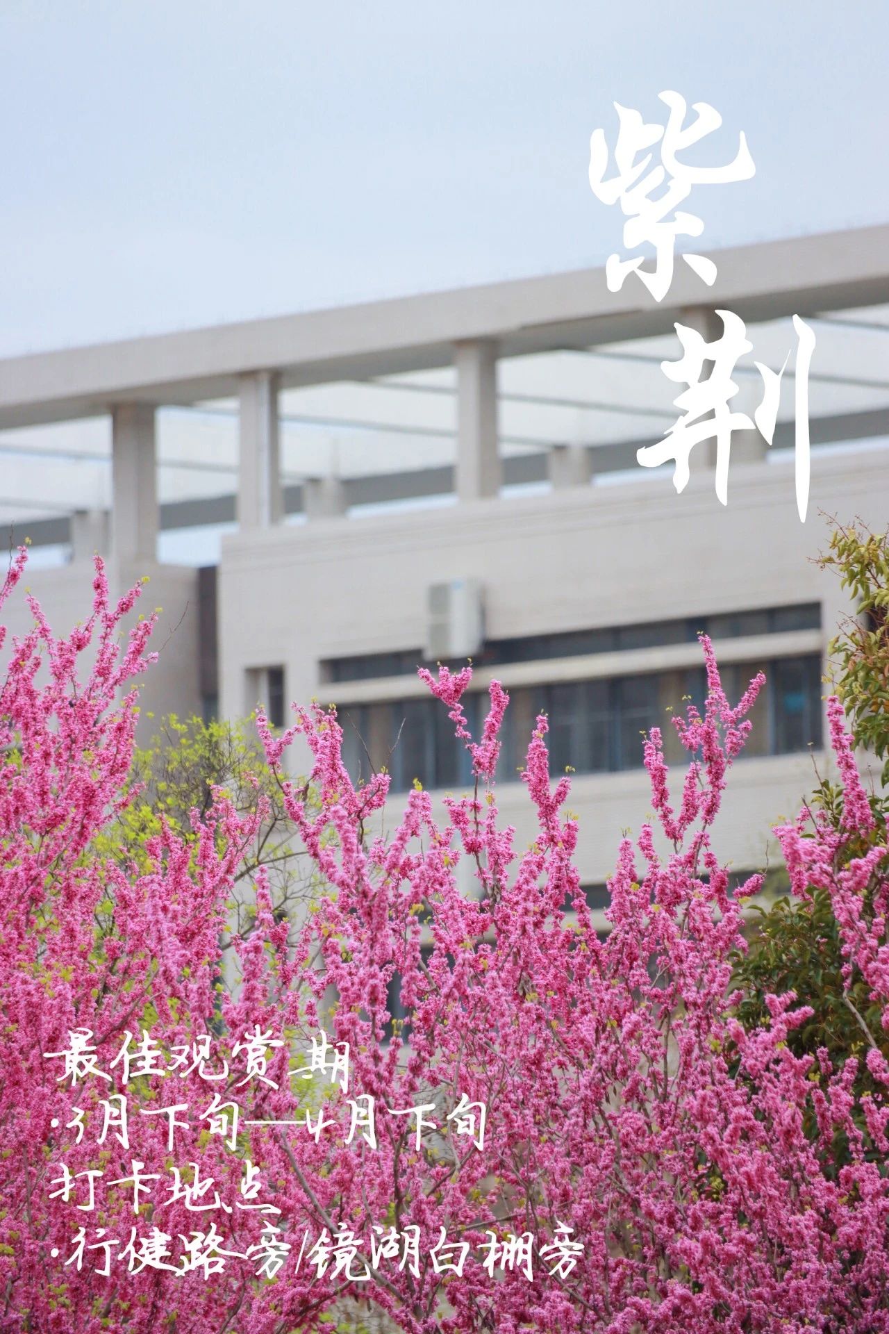 中国矿业大学(中国矿业大学材料与物理学院)