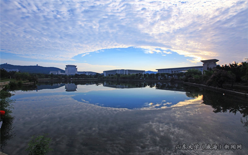 山东大学毕业证(山东大学 毕业证)