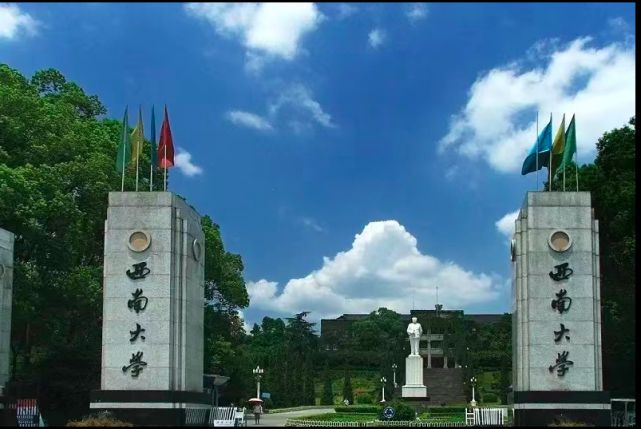西南大学是985还是211