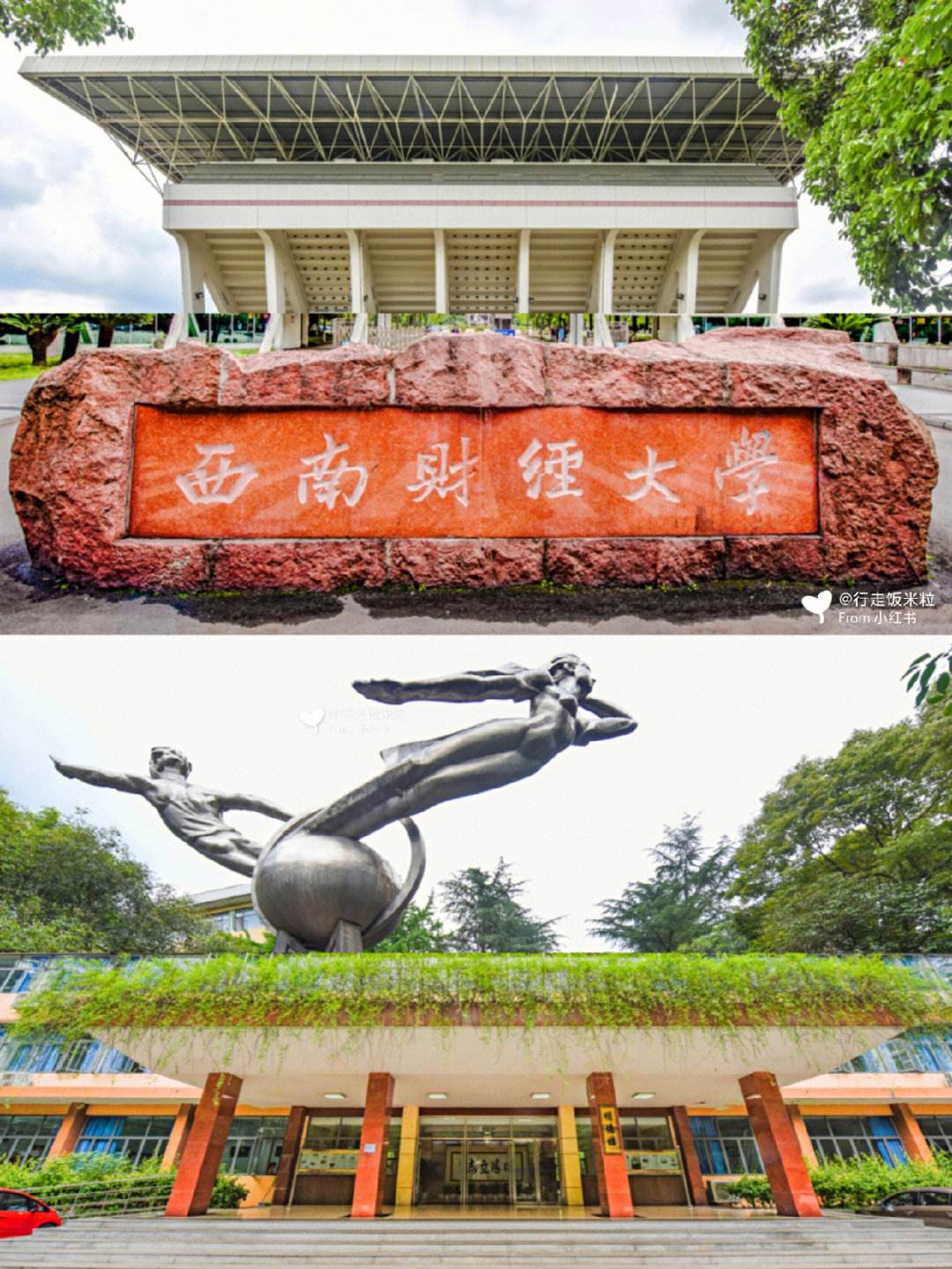 西南财经大学金融学院