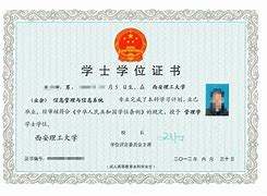 中国科学技术大学本科毕业生的去向