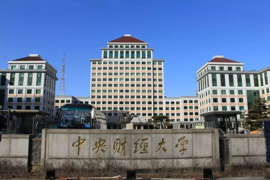 中央财经大学中外合作办学分数线
