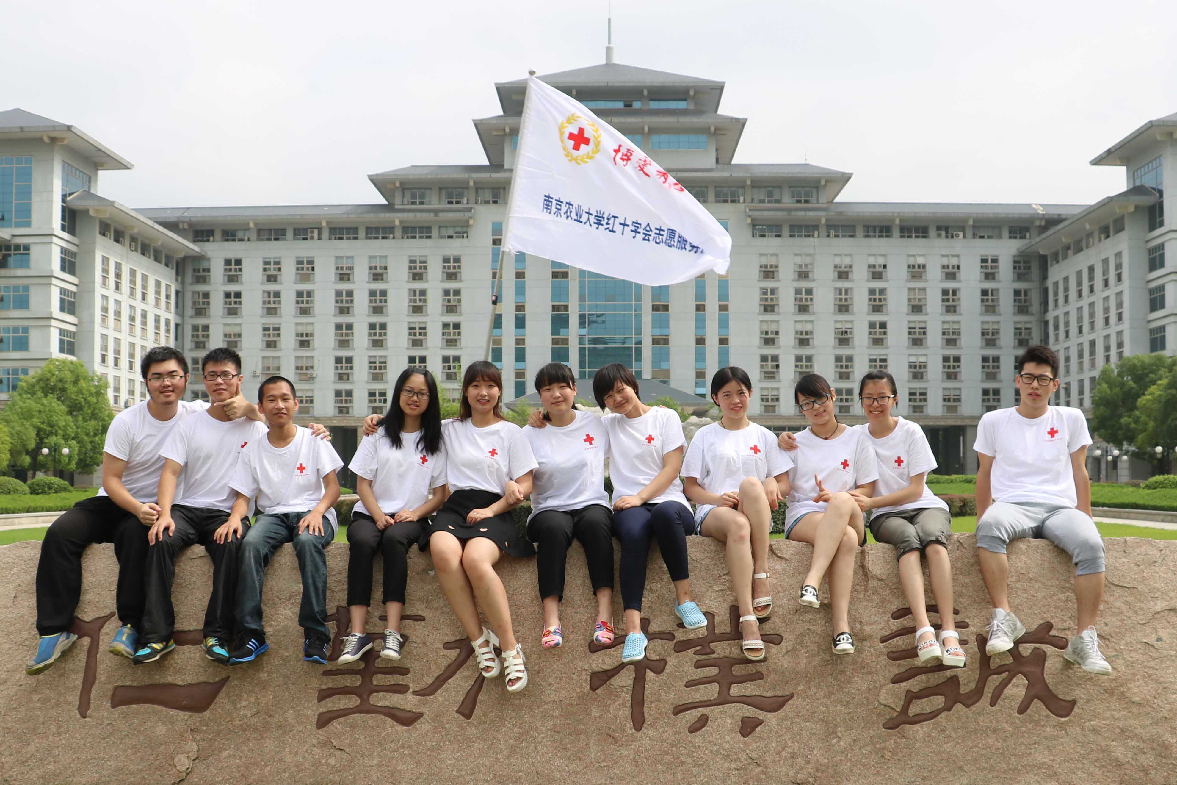 南京农业大学文凭报考条件