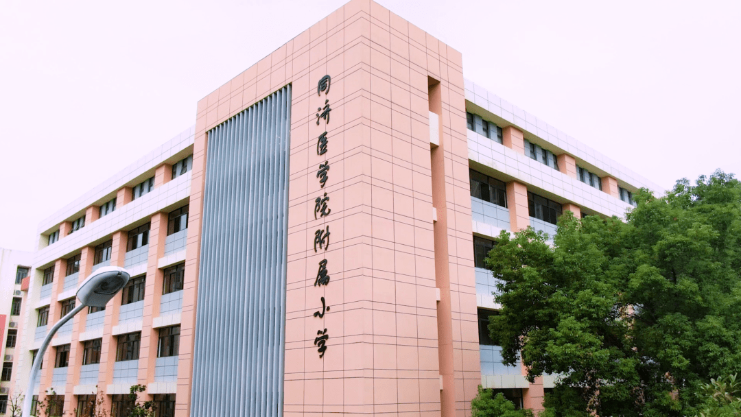 华中科技大学本科生毕业要求