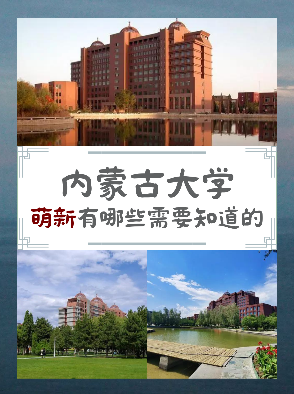 内蒙古大学是211还是985