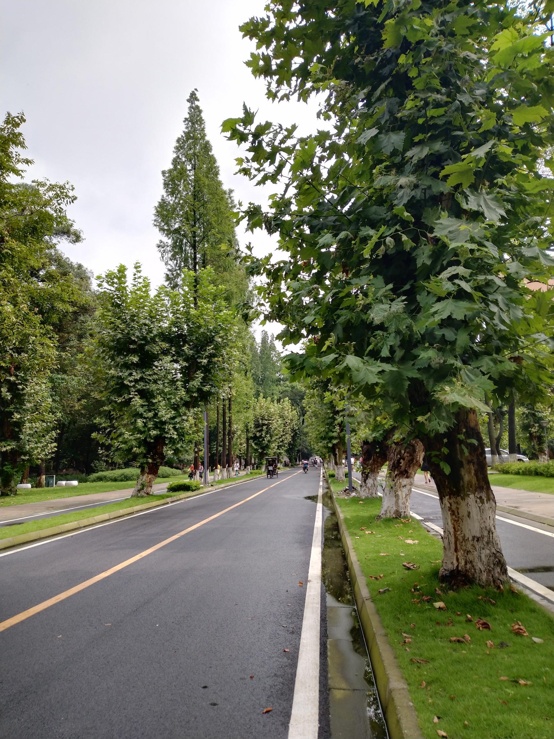 四川大学锦江学院