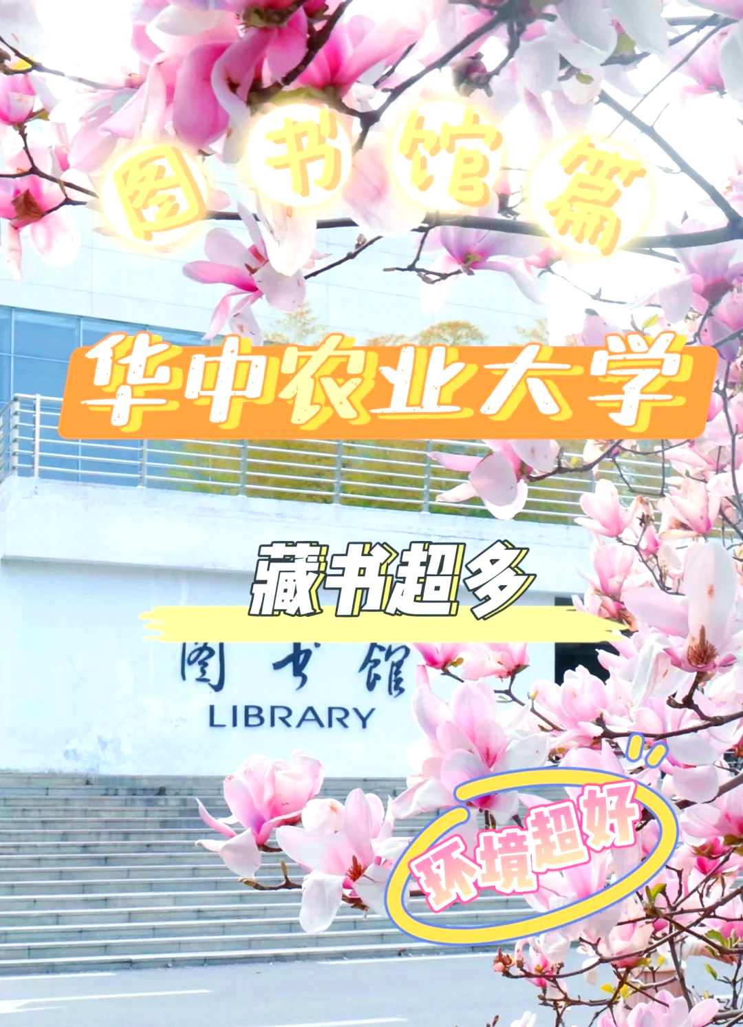 华中农业大学2025年录取分数线