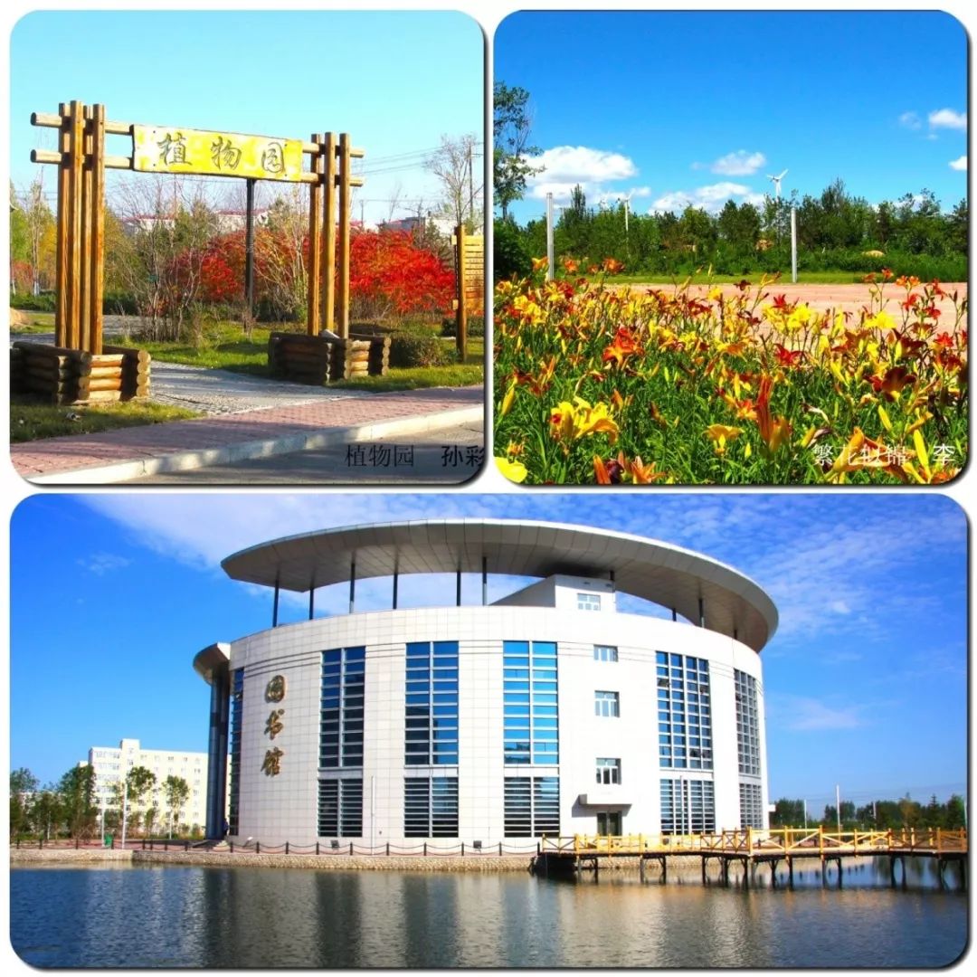 北京林业大学怎样呀