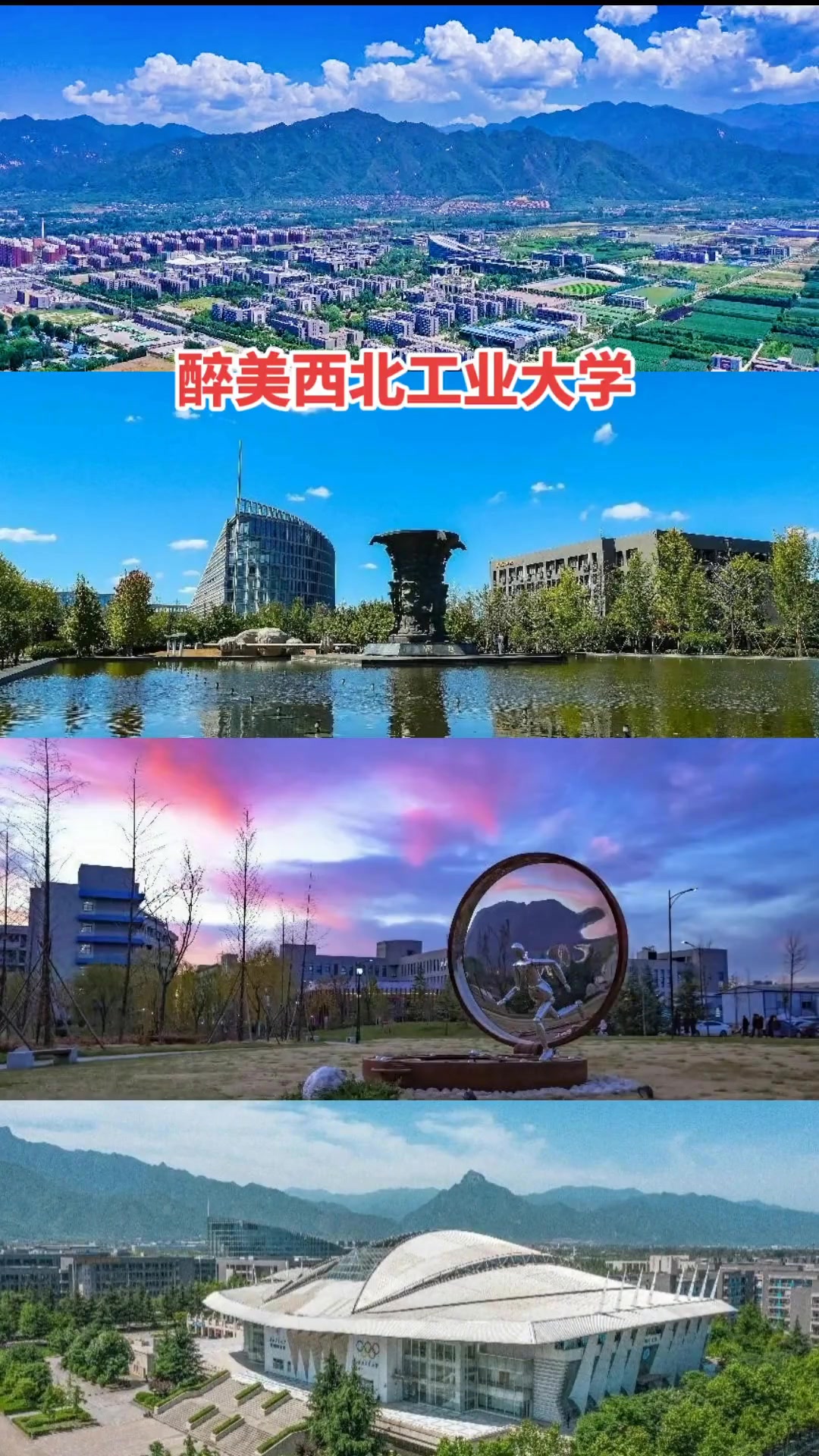 西北工业大学官网