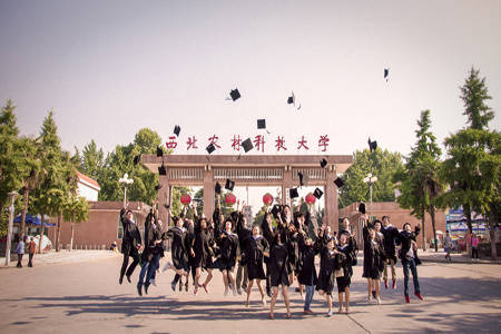 西北农林科技大学怎么评上985的