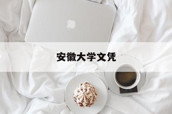 安徽大学本科毕业证书